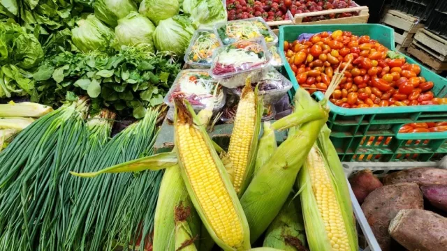 Noviembre arrancó con bajas de precios en frutas y verduras en el Mercado San Miguel