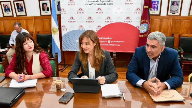 La senadora Flavia Royón expuso en la Legislatura el Proyecto de Reforma a la Ley de Glaciares