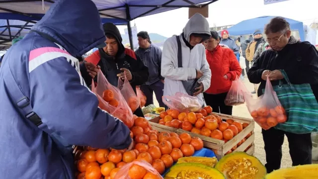 Vuelve “El Mercado en tu barrio”: será el próximo viernes en Miguel Ortiz, con ofertas imperdibles