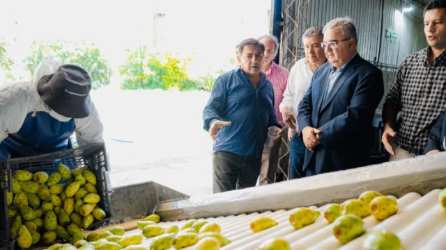 Catamarca concretará su primera exportación de tuna a Europa (y abre un nuevo canal productivo)