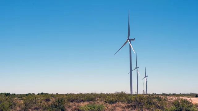 Cerro Policía: se acerca la audiencia por el parque eólico de 300 MW
