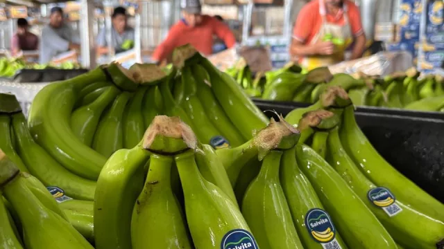 Salvita defendió la producción bananera salteña y aseguró que es estratégica para el país