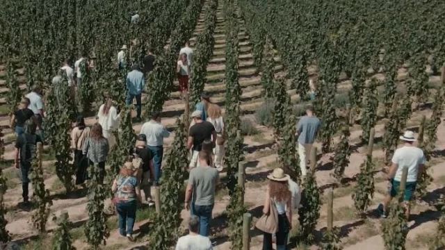 Agendá la Vendimia en la Quebrada: vino, paisajes y grandes chefs en el festival de El Bayeh