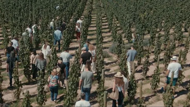 Este fin de semana llega la Vendimia de El Bayeh a la Quebrada de Humahuaca, en Jujuy