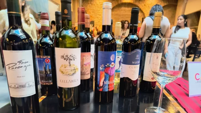 Vendimia récord, pero con el consumo en caída: la paradoja que sacude al vino salteño