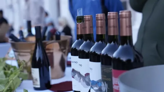 La Vendimia de Cachi volvió a llenarse de gente y confirmó el encanto del vino de altura