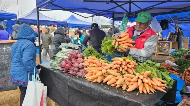 “El mercado en tu barrio” vuelve mañana a la UNSa con ofertas de hasta un 30% de descuento