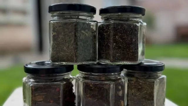 Yuyito Matero: el equilibrio entre el saber médico y la tradición botánica