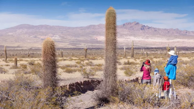 Del corazón de los Valles al mundo: Cachi busca coronarse como uno de los mejores pueblos del planeta