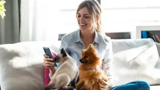 Omint Mascotas: la nueva apuesta del Grupo Omint para el bienestar animal