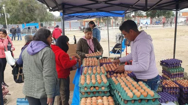 “El Mercado en tu barrio” llega al Delmi con precios imperdibles y servicios municipales