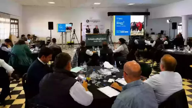 En Salta se comercializaron más de 9.000 cabezas y la provincia se consolida en el negocio ganadero del norte