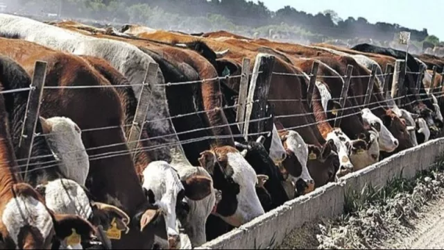Juramento sale al mercado y busca captar hasta US$ 30 millones para potenciar su crecimiento