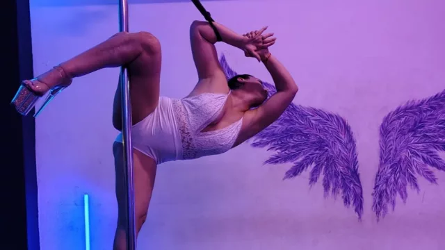 ¡Se terminaron las excusas! Ahora vas a poder aprender pole dance en tu propia casa