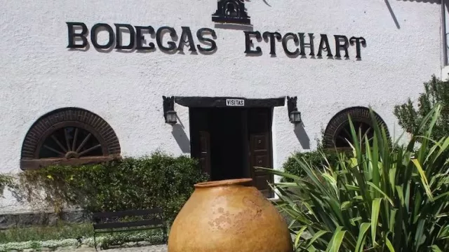 Molinos Río de la Plata compró Bodegas Etchart, su primera bodega fuera de Mendoza