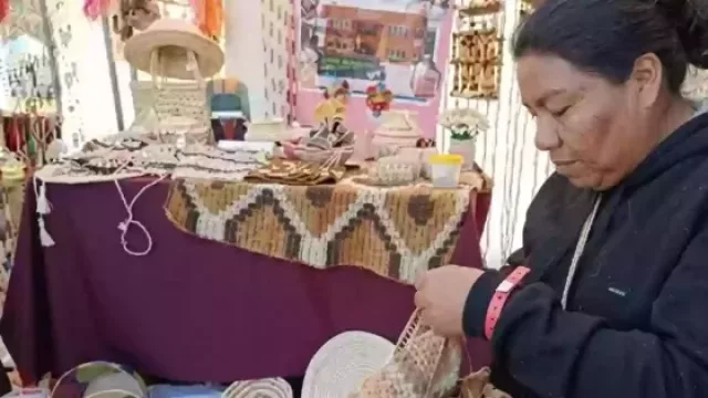 Dictarán en Salta el workshop “Texturas del Chaguar”, sobre diseño, arte textil y cultura wichí