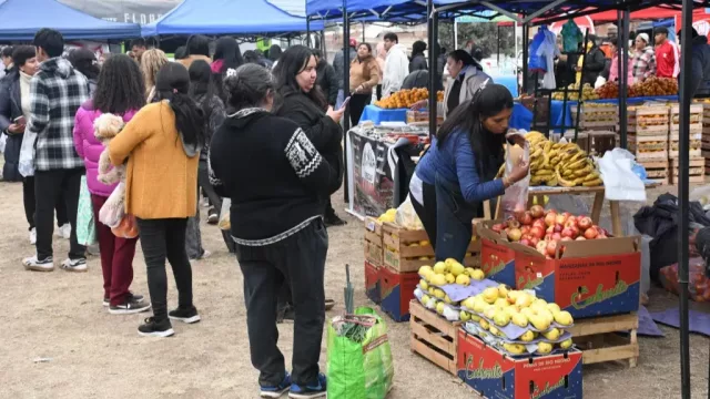 Mañana miércoles habrá una nueva edición de “El Mercado en tu barrio” en zona este
