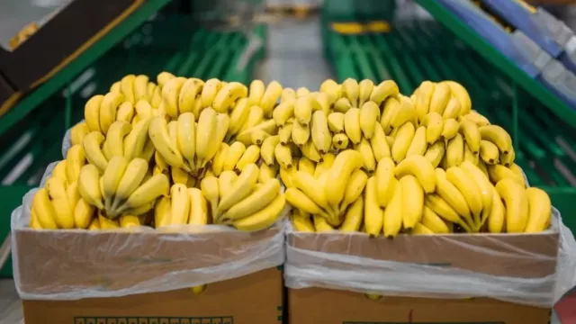 Salta solicitó a Nación una reunión para analizar la nueva normativa bananera