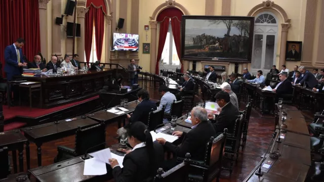 El Senado de Salta se sumó al reclamo por los cambios nacionales que afectan a la producción bananera
