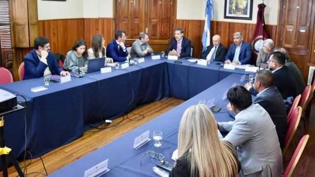 Avanza una ley para aprovechar la fibra de vicuña (previa consulta a las comunidades)