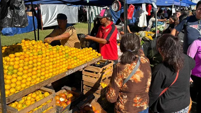 “El Mercado en tu Barrio” llega a la zona Sur con precios promocionales y servicios