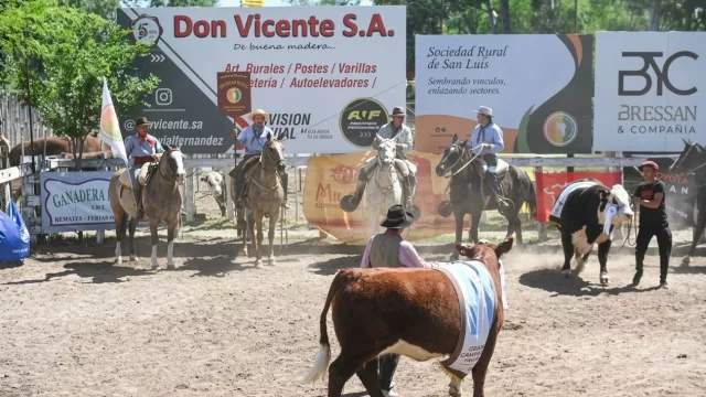 La Rural de San Luis prepara su 79ª exposición con genética, remates y tecnología (reunirá a más de 100 emprendedores)