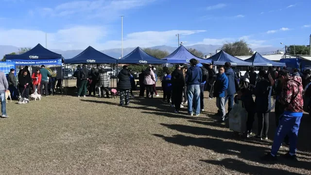 La semana próxima vuelve el Mercado en tu barrio: ahorrá y resolvé trámites en un solo lugar