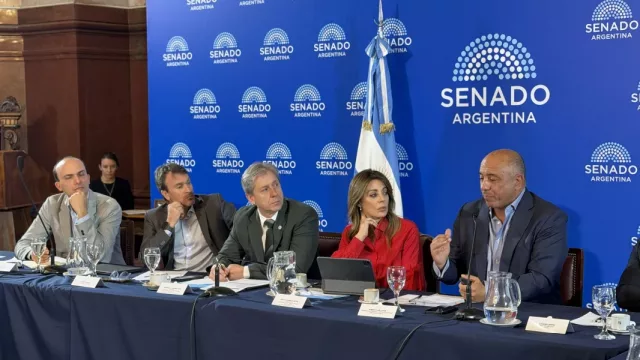 Salta presentó en el Senado de la Nación una propuesta para el régimen de coparticipación
